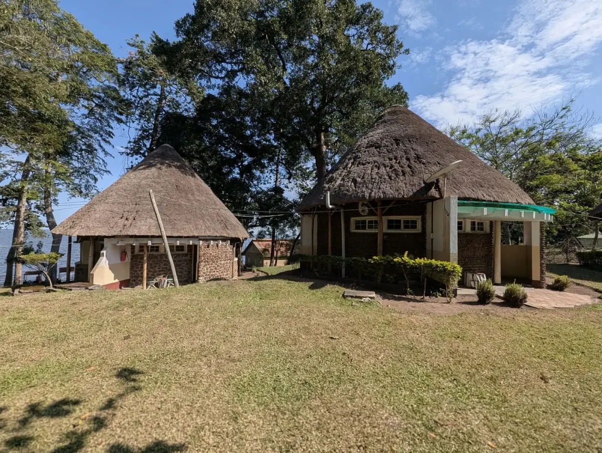 Two thatched-roof cottages on a lawn among tall trees